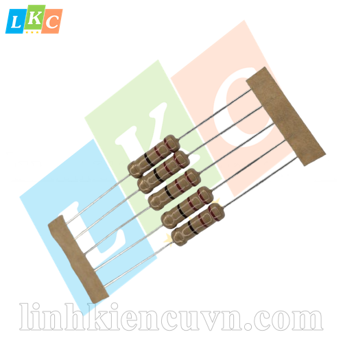 Điện trở 22R 2W 4 vạch chân đồng